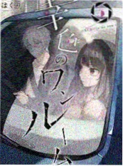 先婚后爱甜宠文《她来时春风》封面